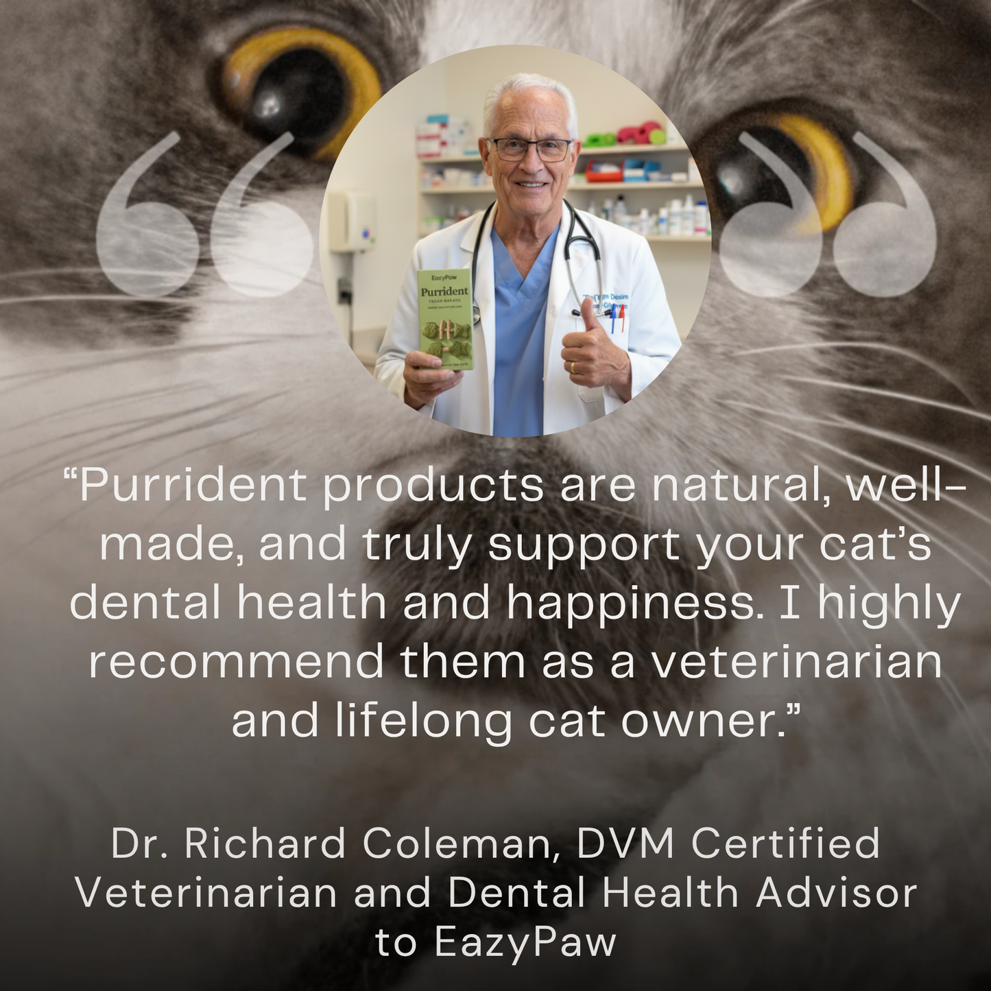 PurriDent - Fix Cat Dental Health!