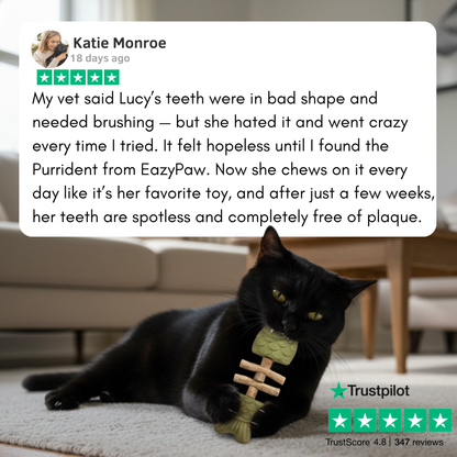 PurriDent - Fix Cat Dental Health!