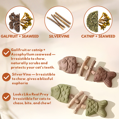 PurriDent - Fix Cat Dental Health!