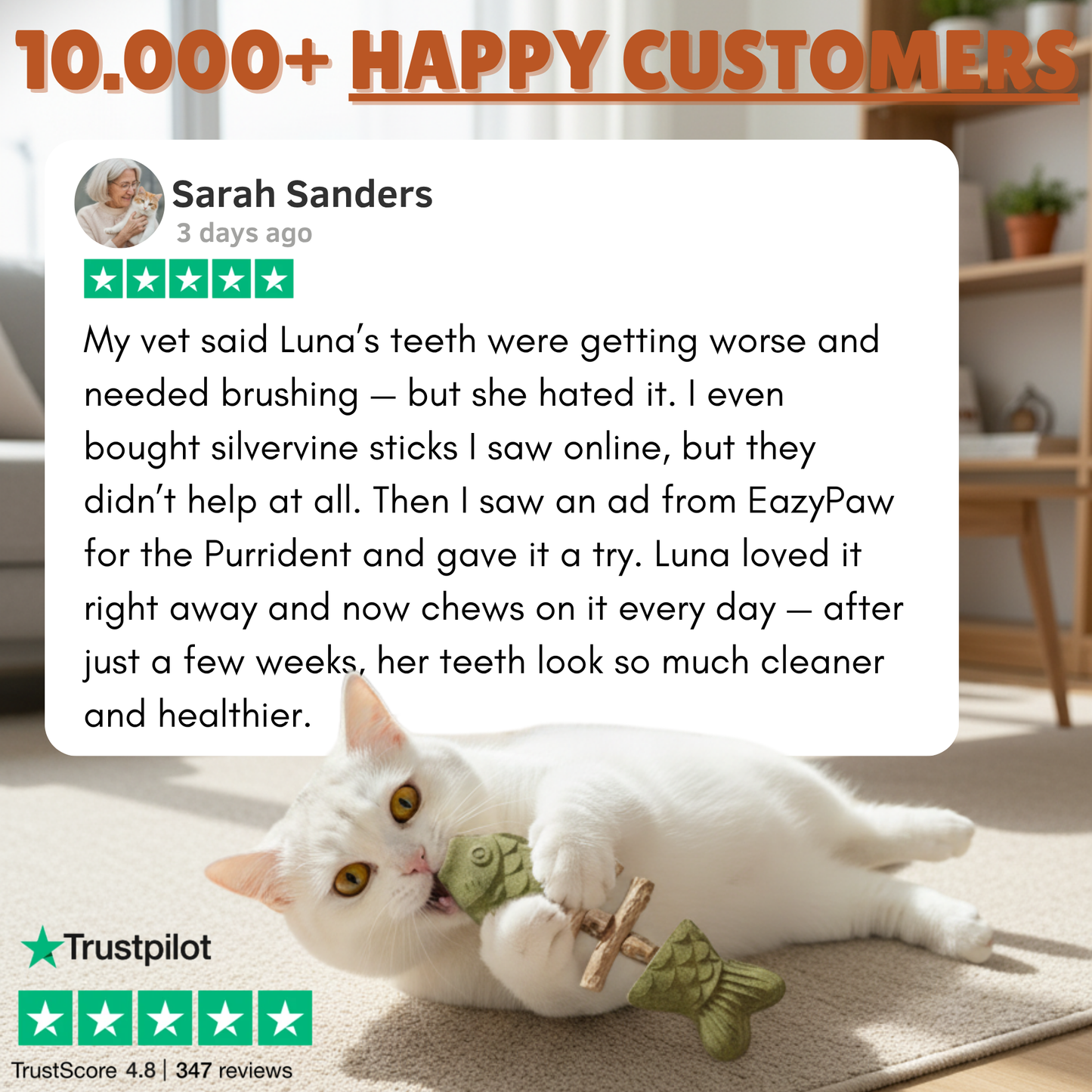 PurriDent - Fix Cat Dental Health!