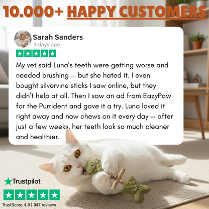 PurriDent - Fix Cat Dental Health!