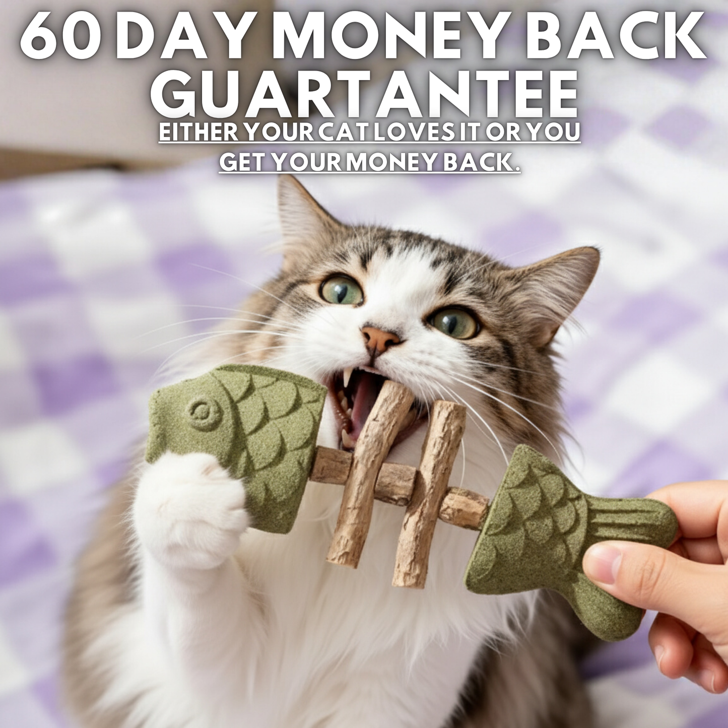 PurriDent - Fix Cat Dental Health!