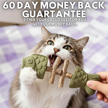 PurriDent - Fix Cat Dental Health!