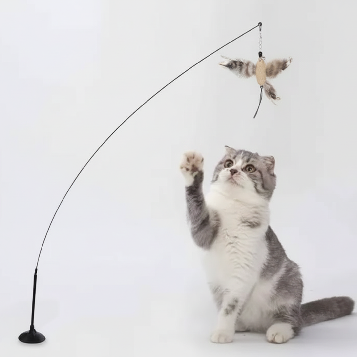 Bird Toy