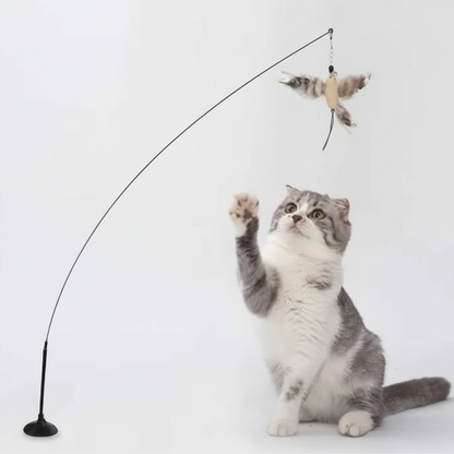 Bird Toy