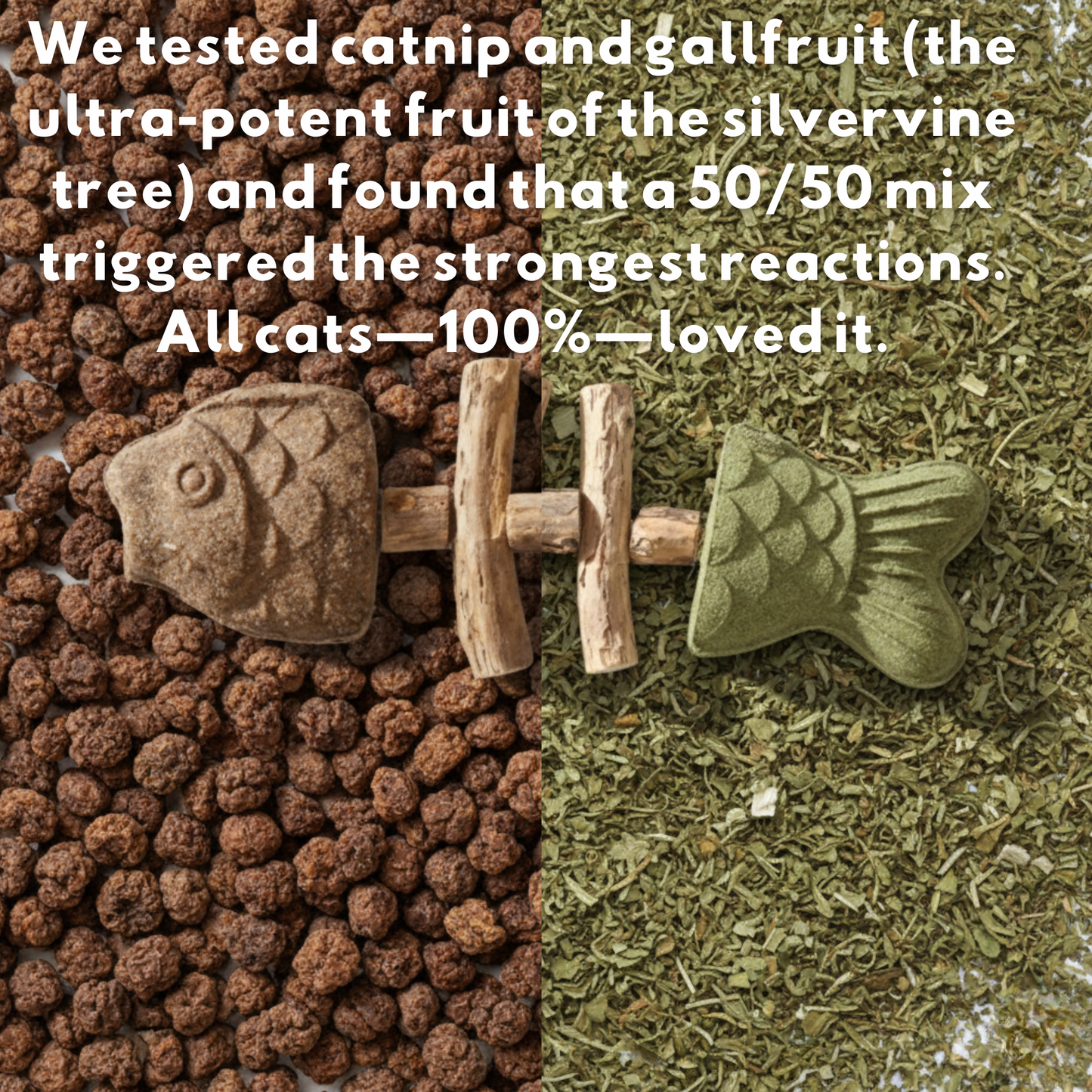 PurriDent - Fix Cat Dental Health!