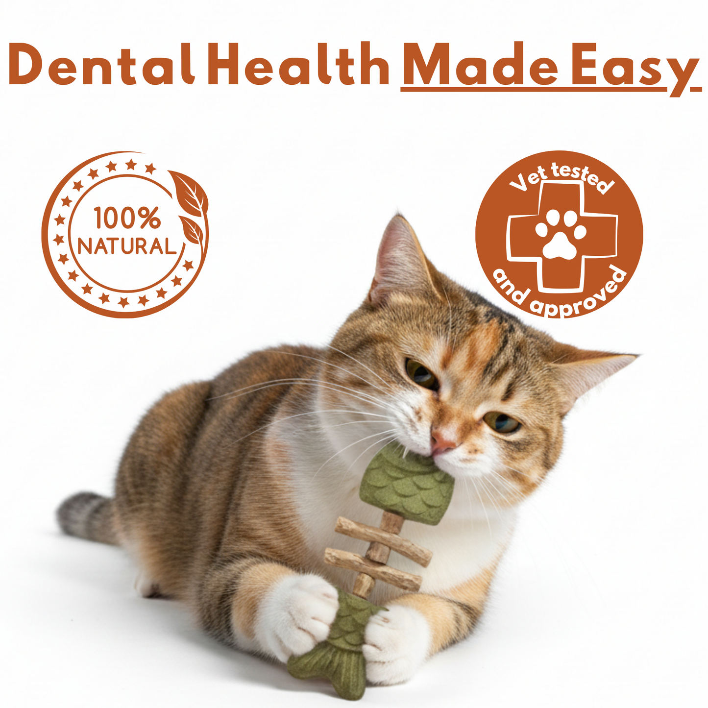 PurriDent - Fix Cat Dental Health!