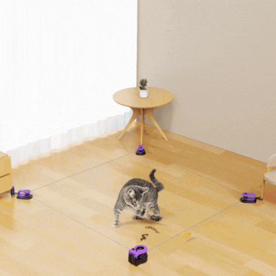 Automatic Cat Track